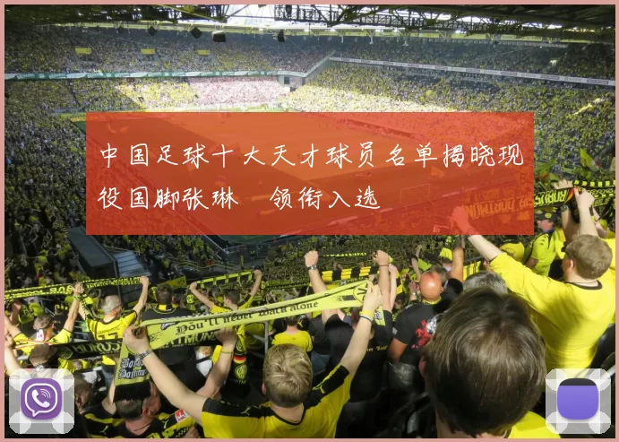 中国足球十大天才球员名单揭晓现役国脚张琳芃领衔入选
