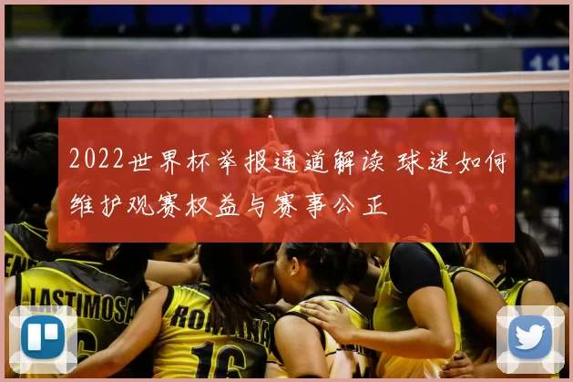 2022世界杯举报通道解读 球迷如何维护观赛权益与赛事公正