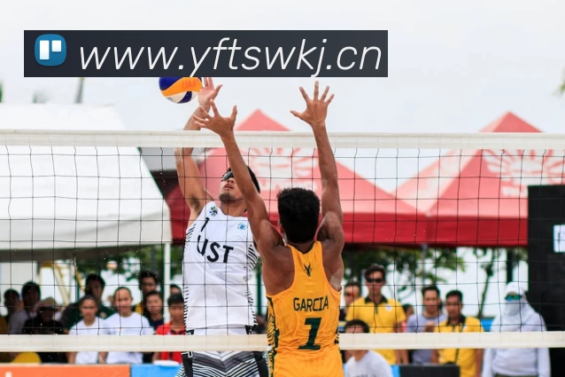 多媒体互动体验